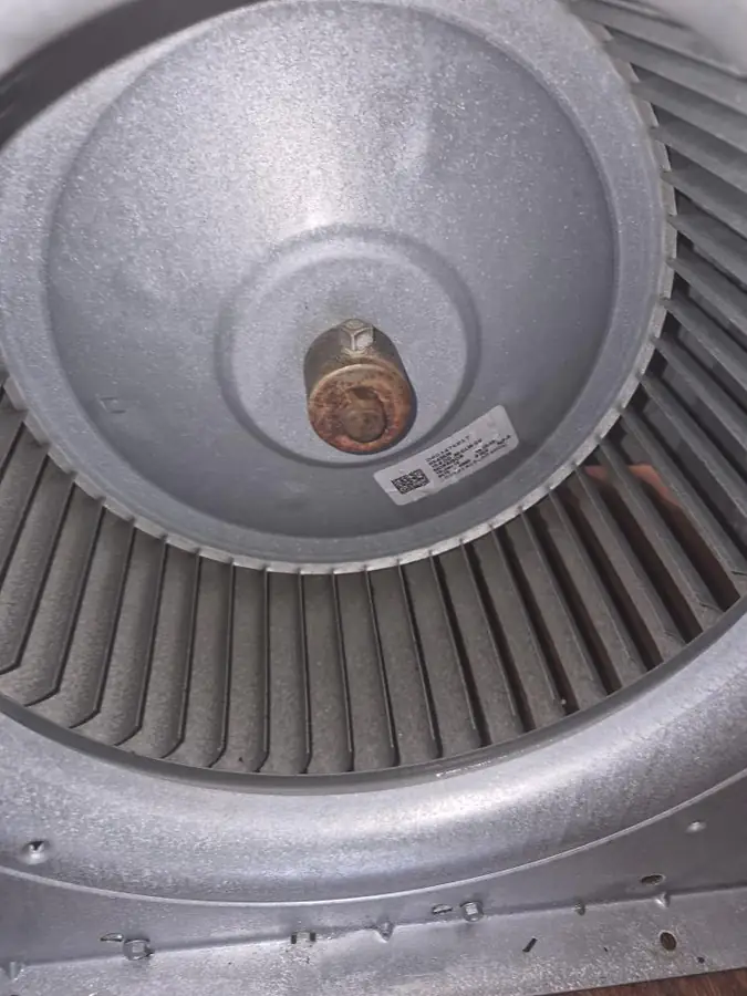 Clean HVAC blower wheel in Santa Rosa Beach FL