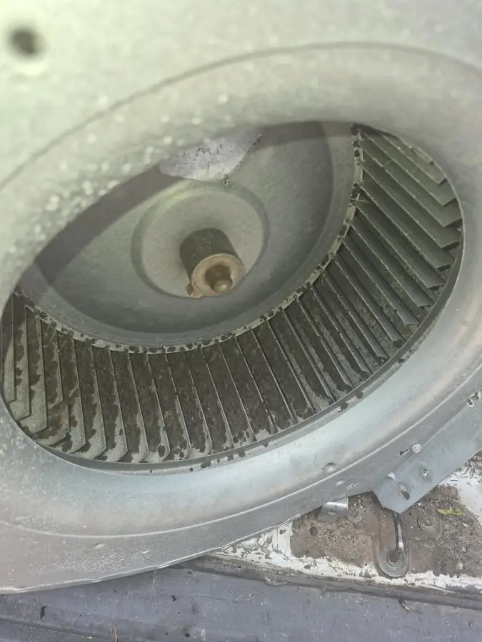 Dirty HVAC blower wheel in Santa Rosa Beach FL before cleaning