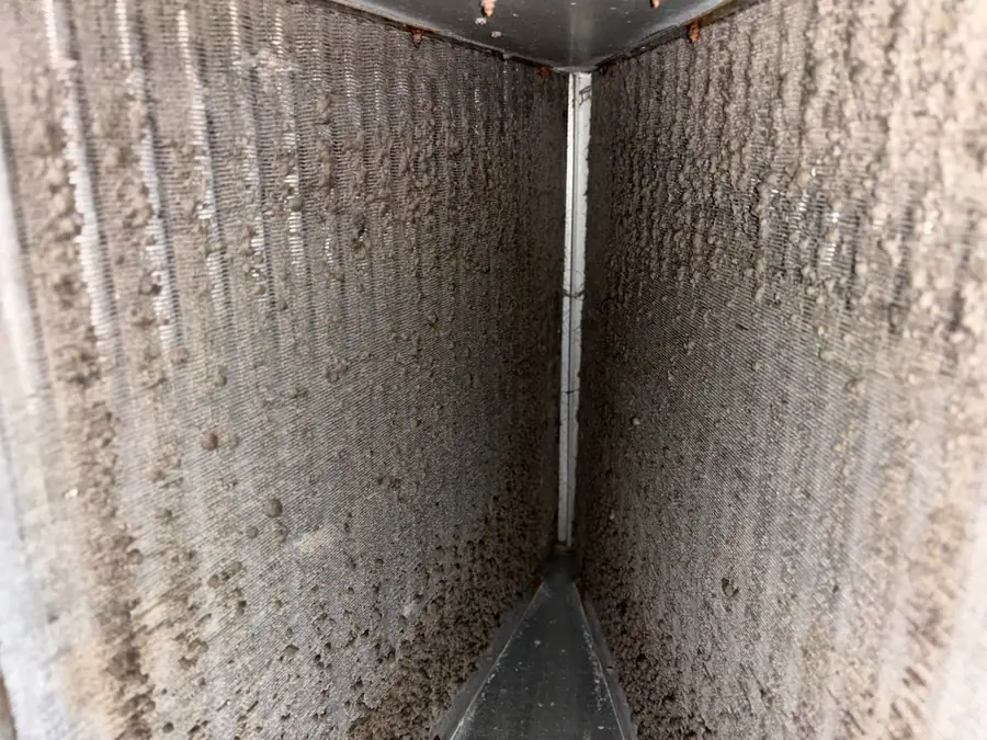 HVAC evaporator coil in Santa Rosa Beach FL before cleaning